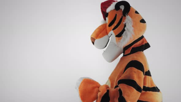 Man in Tiger Costume and Santa's Red Hat Dances on a White Winter Background