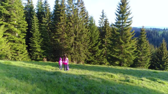 Aerial Shot, Family Walking Along, Spring Day in Forest