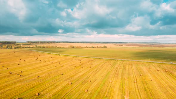 Rural Landscape Field With Hay Bales Rolls After Harvest alt