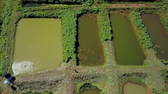 Aerial overhead view flying over small fishing ponds in a fish farm in Brazil