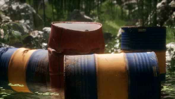 Rusty Barrels in Green Forest