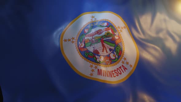 Minnesota State Flag