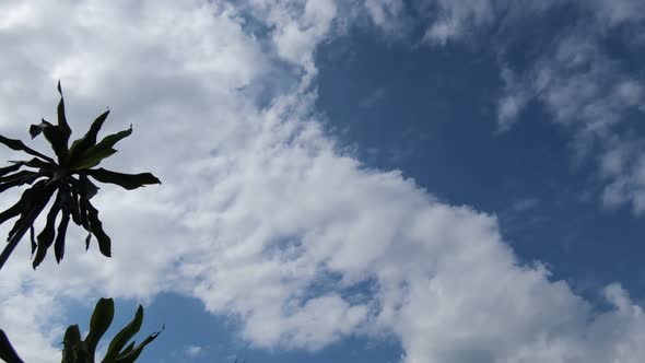 Noon Time Sky Time Lapse in 4K