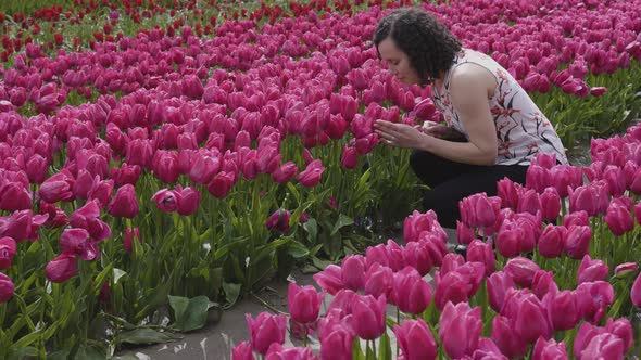 Caucasian Adult Woman Looking at Fresh Tulip Flowers in a Field