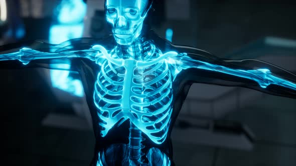 Human Skeleton Bones Scan Exam in Lab alt