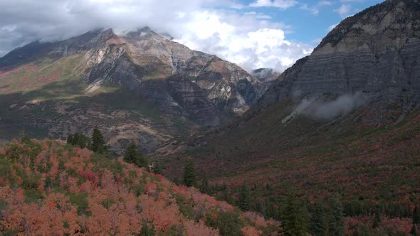 Aerial view flying over trees on hillside showing colorful trees and mountains