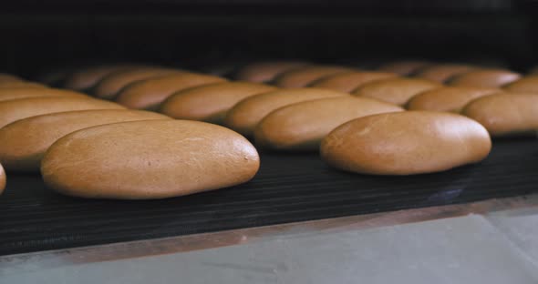 Details Closeup Automated Line and Conveyor Baker