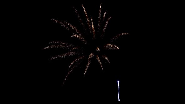 Fireworks 308