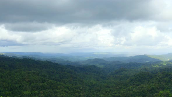 Aerial view over tropical forest, flying backwards over the canopy of trees