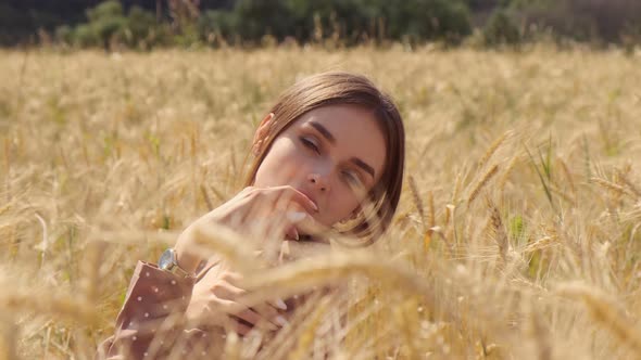 Young Beautiful Sexy Woman Portrait Sits in Wheat Field Spoils Lady in Brown Dress Who Makes Fashion