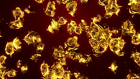 Gold Roses  Particles Hd