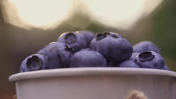 Camera Slowly Flies Around a Small Decorative Bucket with Blueberries on Wooden Bench in the Garden