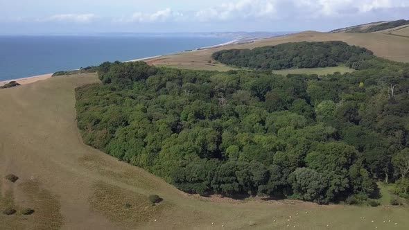 Wide aerial tracking forward and upward above the gardens near Abbotsbury, revealing the southwest c