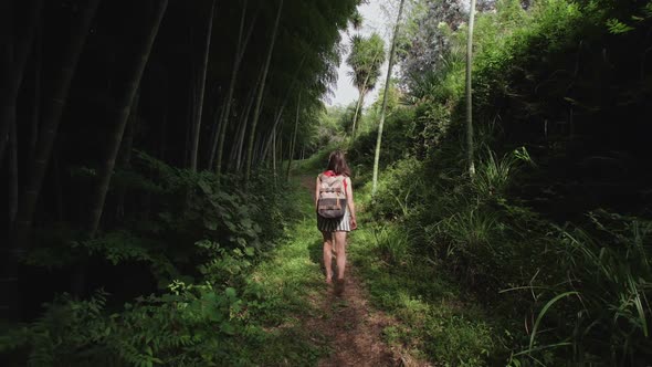 Travel Woman with Bag Walks Along Path in Tropical Park of Tropical Plants, Palms, Bamboo Plantation