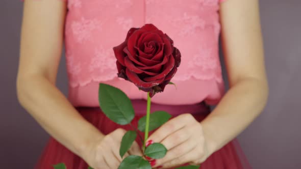 Woman is holding one single red rose