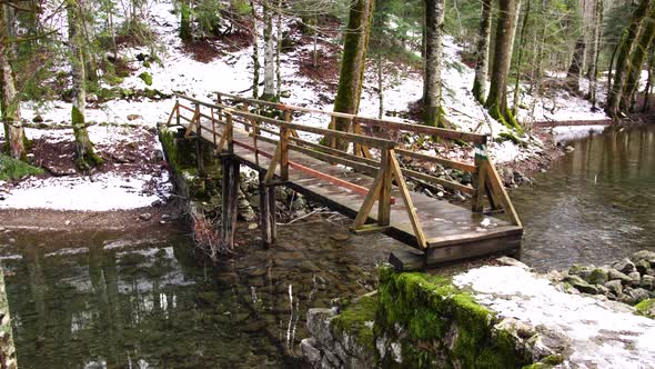 Bridge Over the River in the Biogradska Gora National Park