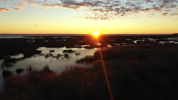 The Reeds on the Shore of Lake at Sunset