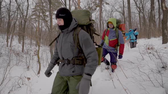 Two Male and Two Female Hikers Are Strolling in Winter Forest in Daytime, Helping To Themselves By