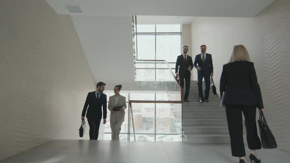 Group of Lawyers in Modern Office