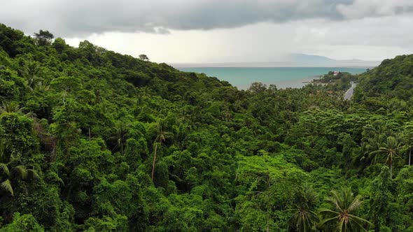 Overcast Sky Over Tropical Island. Gray Cloudy Sky, Green Palms on Koh Samui During Wet Season