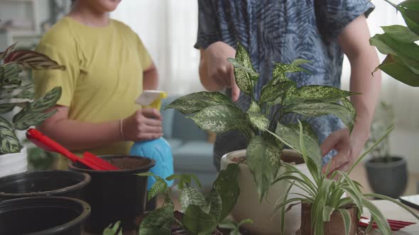 Father And Daughter Taking Care Of Plant At Home
