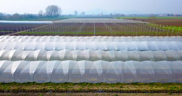 Vegetable Foil Hotbeds in Countryside Area with Grass Fields