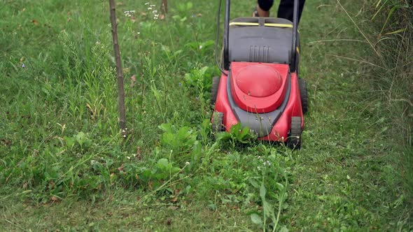 Lawn Mower in action. Summer seasonal works in backyard.