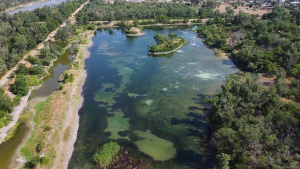 Algae Covered Lake And Island