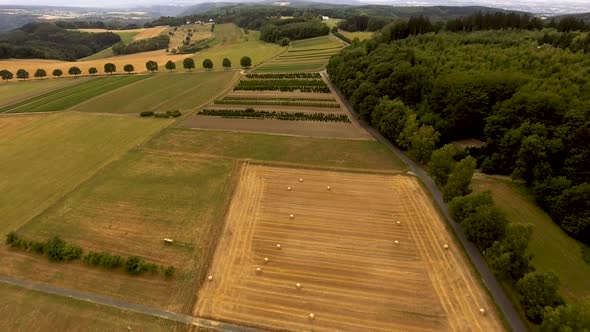 Drone flight above agricultural landscape.