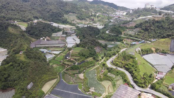 Cameron Highlands, Pahang Malaysia