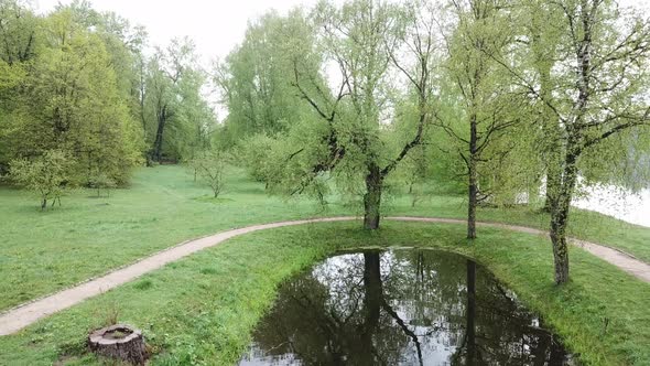 Spring In A Country Estate 