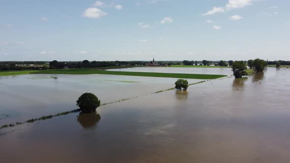 Floodplains and drowned trees at river Maas in the Netherlands, Aerial