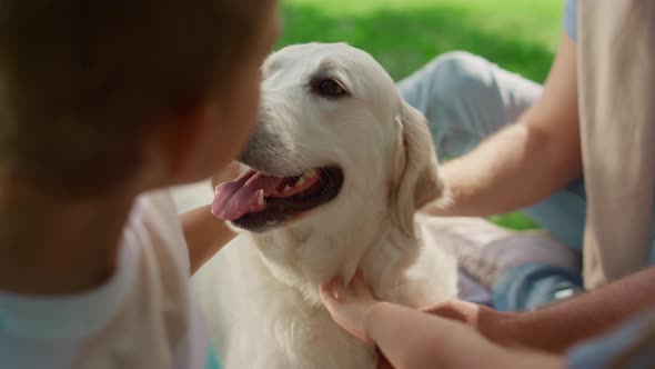 Unknown Hands Caress Dog on Picnic Closeup