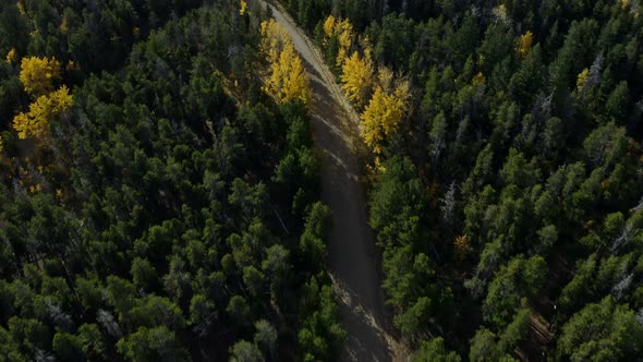 Aerial panning up from beautiful fall aspen forest to mountains in distance, 4K