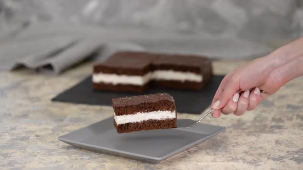 Delicious Chocolate Cake on Table