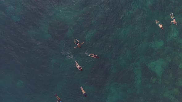 Snorkeling in Coral Lagoon