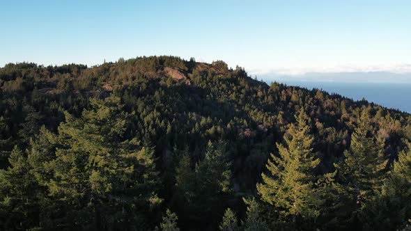 Nanaimo Mountain Summit on Vancouver Island, Canada, Lone Tree Hill