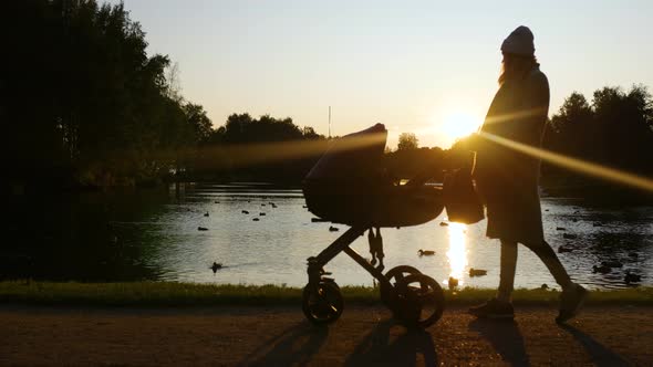 mom rolls a stroller with a child along the lake with ducks at sunset