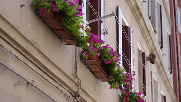 Beautiful Italian Balcony with Flowers