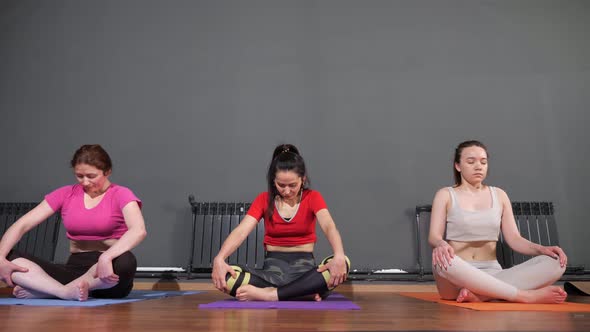 Professional Lady Yoga Practitioners Sit in Lotus Poses