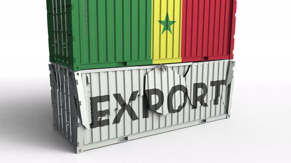 Container with EXPORT Text Crashed with Container with Flag of Senegal