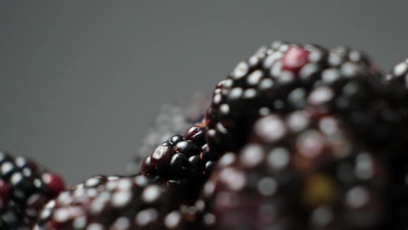 Ripe Juicy Blackberries Swirling on a Black Background Slow Motion