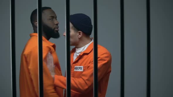 Caucasian Prisoner Fighting With Black Inmate, Discrimination, Jail Overcrowding
