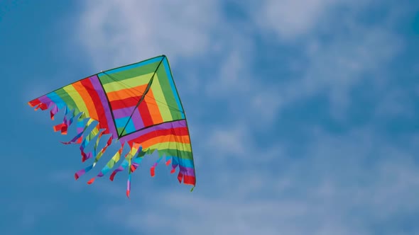 Multicolored Rainbow Lgbt Kite Air Flies on the Background