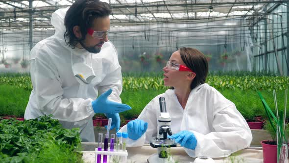 Two Biologists Are Having a Research with Chemicals in the Greenery