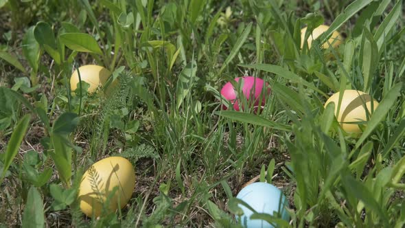 Easter. Colorful easter on the grass.