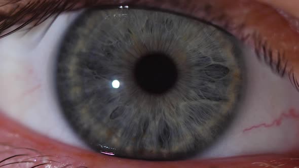 Macro Shot of the Gray Pupil of the Human Eye in Slowmotion