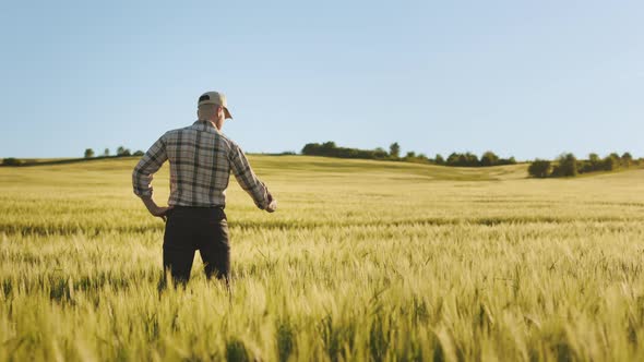 A Young Farmer is Standing in the Middle of a Wheat Field