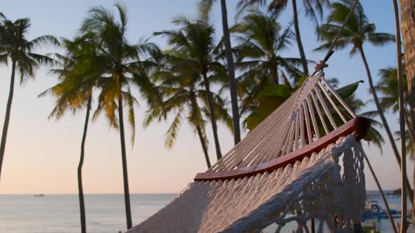 Swaying Hammock on Beach and Palms