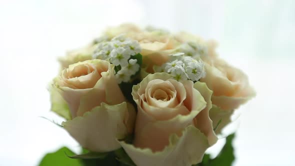 Flower bouquet of roses on a white background in motion.